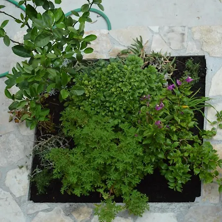 Apartman Kapetan * Pula